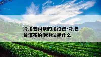 冷泡普洱茶的泡泡法-冷泡普洱茶的泡泡法是什么