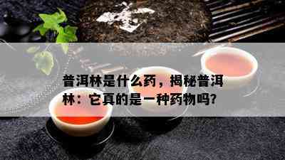 普洱林是什么，揭秘普洱林：它真的是一种物吗？