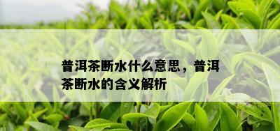 普洱茶断水什么意思，普洱茶断水的含义解析