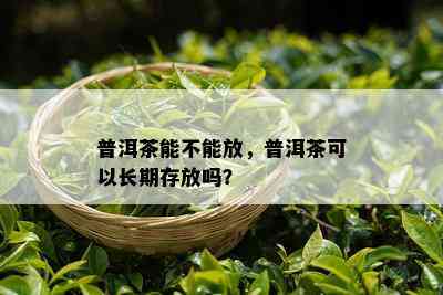 普洱茶能不能放，普洱茶可以长期存放吗？