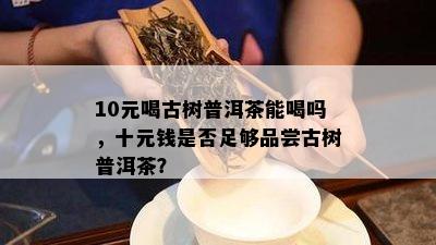 10元喝古树普洱茶能喝吗，十元钱是不是足够品尝古树普洱茶？