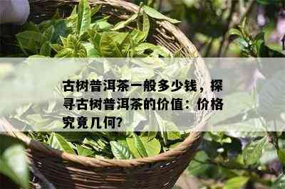 古树普洱茶一般多少钱，探寻古树普洱茶的价值：价格究竟几何？