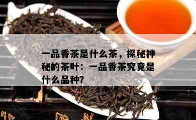 一品香茶是什么茶，探秘神秘的茶叶：一品香茶究竟是什么品种？