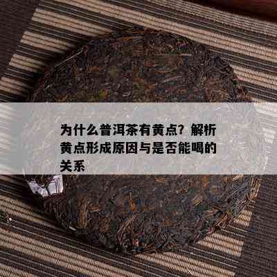 为什么普洱茶有黄点？解析黄点形成起因与是不是能喝的关系