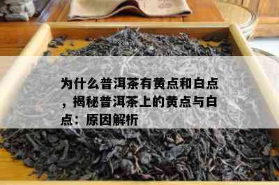 为什么普洱茶有黄点和白点，揭秘普洱茶上的黄点与白点：起因解析