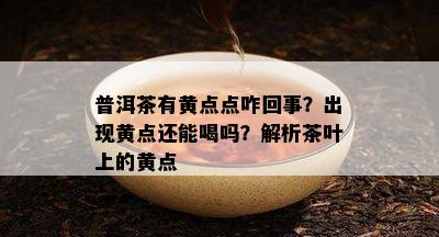 普洱茶有黄点点咋回事？出现黄点还能喝吗？解析茶叶上的黄点