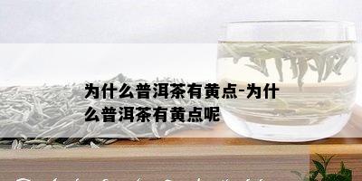 为什么普洱茶有黄点-为什么普洱茶有黄点呢