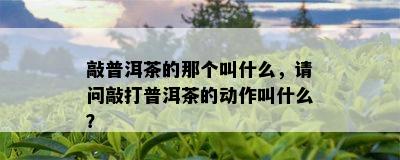 敲普洱茶的那个叫什么，请问敲打普洱茶的动作叫什么？