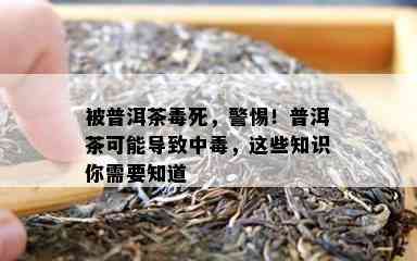 被普洱茶死，警惕！普洱茶可能导致中，这些知识你需要知道