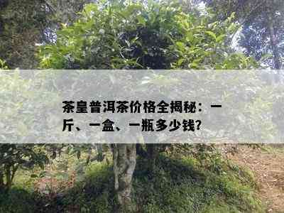 茶皇普洱茶价格全揭秘：一斤、一盒、一瓶多少钱？