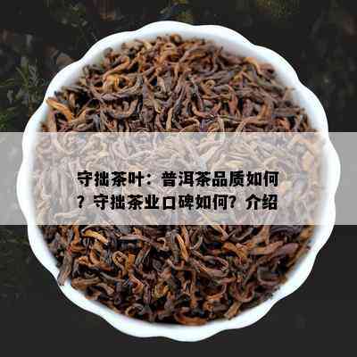 守拙茶叶：普洱茶品质怎样？守拙茶业口碑怎样？介绍