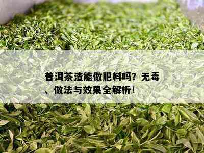 普洱茶渣能做肥料吗？无、做法与效果全解析！