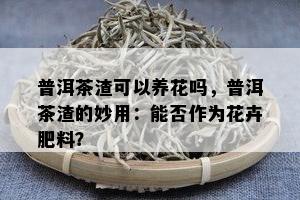 普洱茶渣可以养花吗，普洱茶渣的妙用：能否作为花卉肥料？