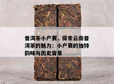 普洱茶小户赛，探索云南普洱茶的魅力：小户赛的独特韵味与历史背景