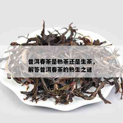 普洱春茶是熟茶还是生茶，解答普洱春茶的熟生之谜