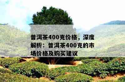 普洱茶400克价格，深度解析：普洱茶400克的市场价格及购买建议