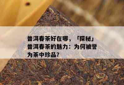 普洱春茶好在哪，「探秘」普洱春茶的魅力：为何被誉为茶中珍品？