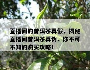 直播间的普洱茶真假，揭秘直播间普洱茶真伪，你不可不知的购买攻略！