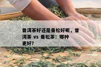 普洱茶好还是曼松好呢，普洱茶 vs 曼松茶：哪种更好？