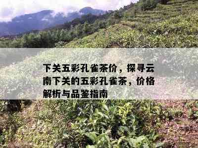 下关五彩孔雀茶价，探寻云南下关的五彩孔雀茶，价格解析与品鉴指南