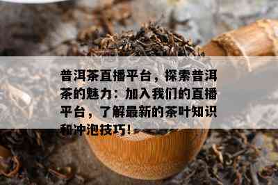 普洱茶直播平台，探索普洱茶的魅力：加入咱们的直播平台，熟悉最新的茶叶知识和冲泡技巧！