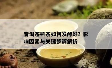 普洱茶熟茶怎样发酵好？作用因素与关键步骤解析