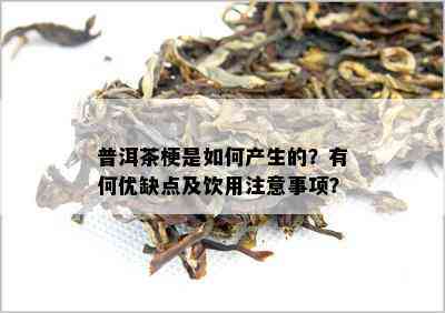 普洱茶梗是怎样产生的？有何优缺点及饮用留意事项？