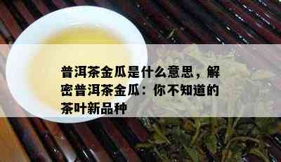 普洱茶金瓜是什么意思，解密普洱茶金瓜：你不知道的茶叶新品种