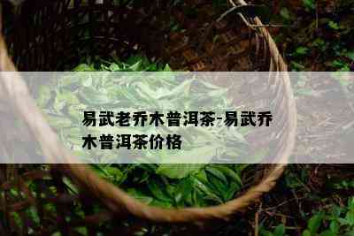 易武老乔木普洱茶-易武乔木普洱茶价格