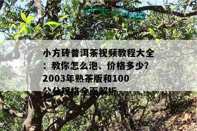 小方砖普洱茶视频教程大全：教你怎么泡、价格多少？2003年熟茶版和100公分规格全面解析