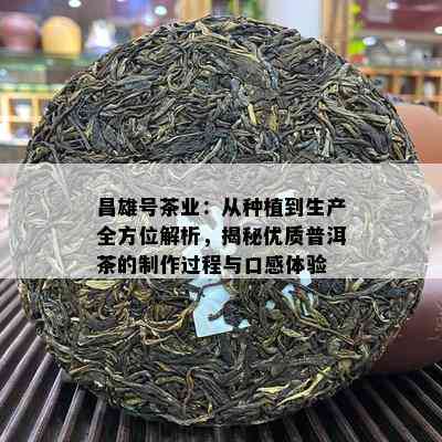 昌雄号茶业：从种植到生产全方位解析，揭秘优质普洱茶的制作过程与口感体验