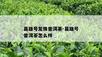 昌雄号龙珠普洱茶-昌雄号普洱茶怎么样