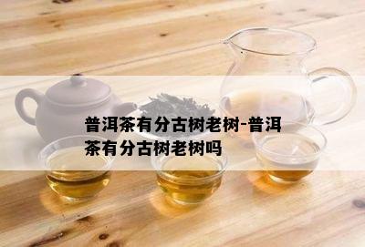 普洱茶有分古树老树-普洱茶有分古树老树吗