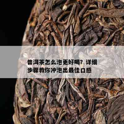 普洱茶怎么泡更好喝？详细步骤教你冲泡出更佳口感