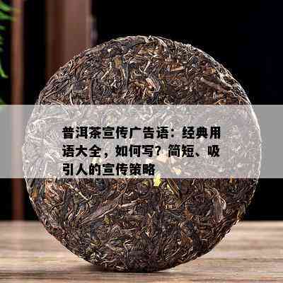 普洱茶宣传广告语：经典用语大全，怎样写？简短、吸引人的宣传策略