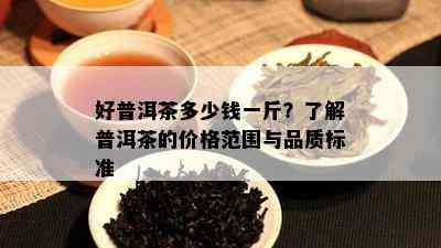 好普洱茶多少钱一斤？熟悉普洱茶的价格范围与品质标准