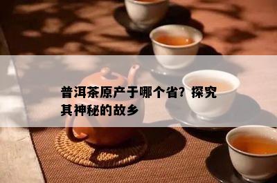 普洱茶原产于哪个省？探究其神秘的故乡