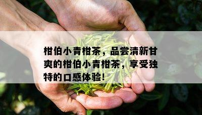 柑伯小青柑茶，品尝清新甘爽的柑伯小青柑茶，享受特别的口感体验！