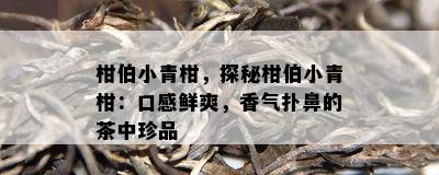 柑伯小青柑，探秘柑伯小青柑：口感鲜爽，香气扑鼻的茶中珍品