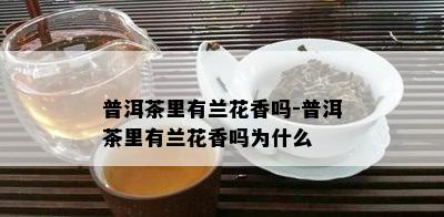 普洱茶里有兰花香吗-普洱茶里有兰花香吗为什么