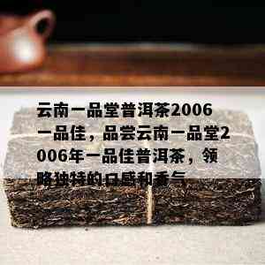 云南一品堂普洱茶2006一品佳，品尝云南一品堂2006年一品佳普洱茶，领略特别的口感和香气