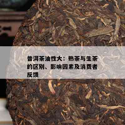 普洱茶油性大：熟茶与生茶的区别、作用因素及消费者反馈