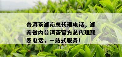 普洱茶湖南总代理电话，湖南省内普洱茶官方总代理联系电话，一站式服务！