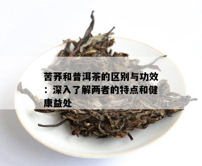 苦荞和普洱茶的区别与功效：深入了解两者的特点和健康益处