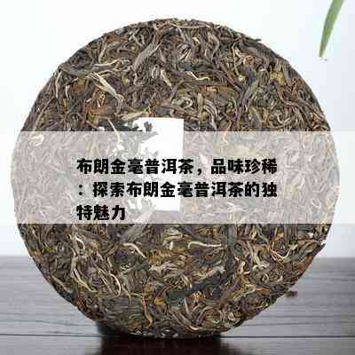 布朗金毫普洱茶，品味珍稀：探索布朗金毫普洱茶的特别魅力