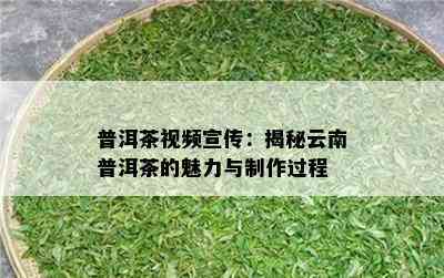 普洱茶视频宣传：揭秘云南普洱茶的魅力与制作过程