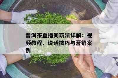 普洱茶直播间玩法详解：视频教程、说话技巧与营销案例