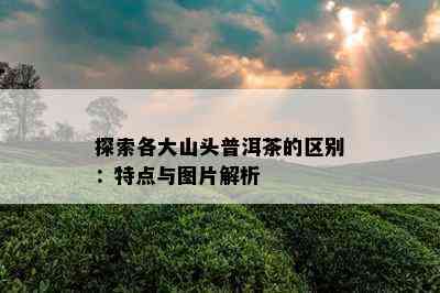 探索各大山头普洱茶的区别：特点与图片解析