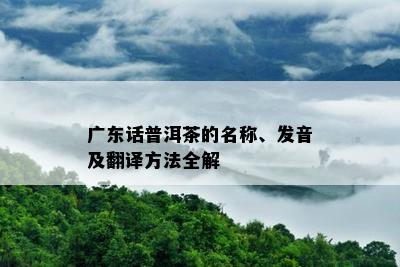 广东话普洱茶的名称、发音及翻译方法全解