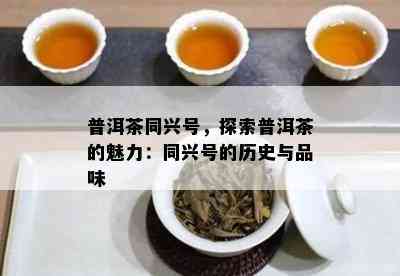 普洱茶同兴号，探索普洱茶的魅力：同兴号的历史与品味